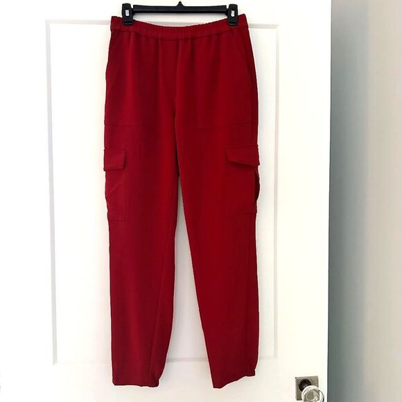 Theory Pants - THEORY Amazing Brick Red  Cargo Jogger Pants Sz 2 NWT $325!!